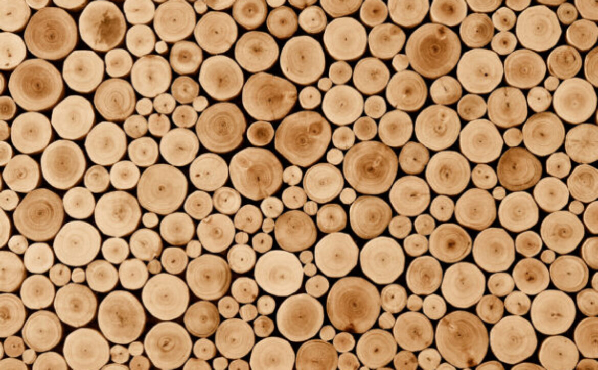 Round,Teak,Wood,Stump,Background